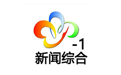 武汉新闻综合频道