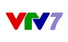 VTV 7