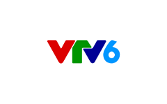 VTV 6