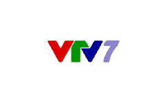 VTV 7