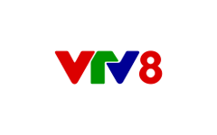 VTV 8