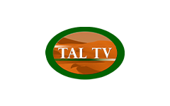 TAL TV