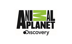 Animal Planet D