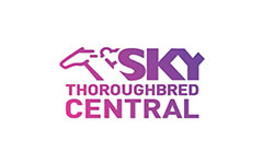 Sky Thoroughbred Cent