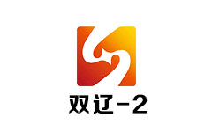 双辽公共频道