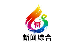 嘉禾新闻综合频道